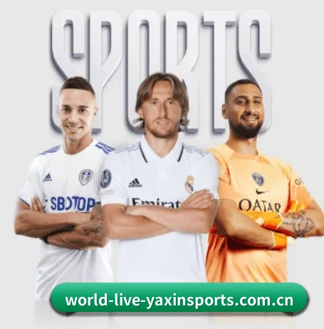 坚持做好基础的事（yaxin）