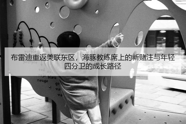 布雷迪重返美联东区，海豚教练席上的新赌注与年轻四分卫的成长路径